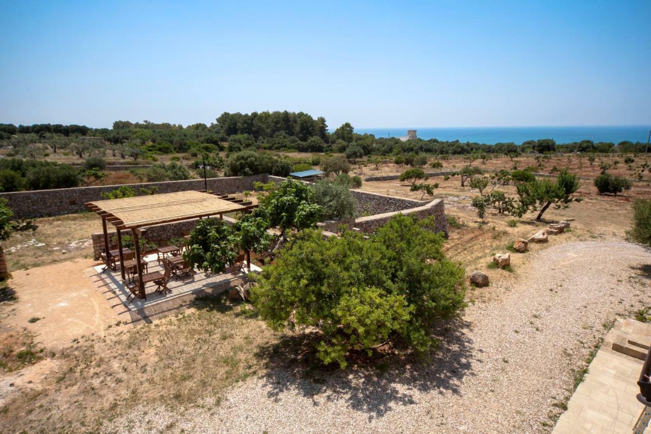 Antica Masseria Ficazzana - Tenuta Marina Di Pescoluse Dış mekan fotoğraf