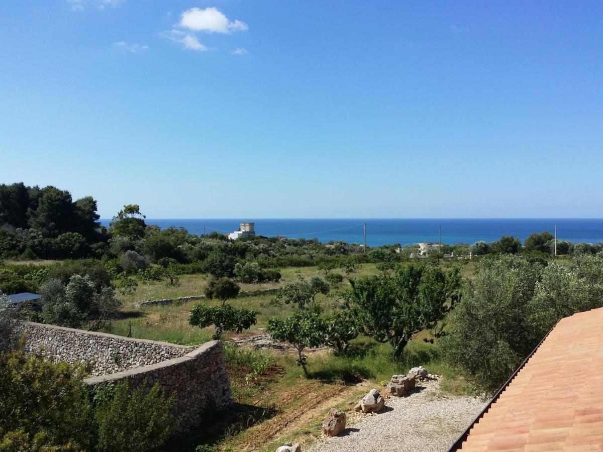 Antica Masseria Ficazzana - Tenuta Marina Di Pescoluse Dış mekan fotoğraf